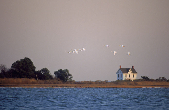 Trump administration makes another bid to slash Chesapeake cleanup funds
